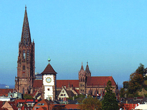 Freiburger Münster