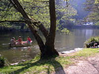 Waldsee