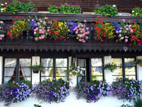 Freiburg